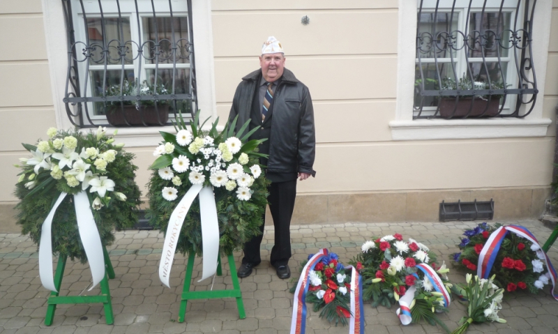 Veterans Day in the Czech Republic