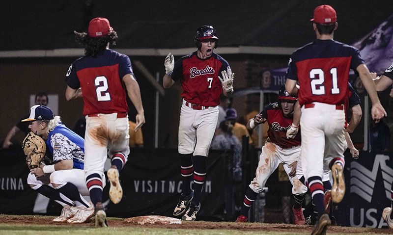 ALWS Game 14: Idaho walks off in extras to secure title game berth