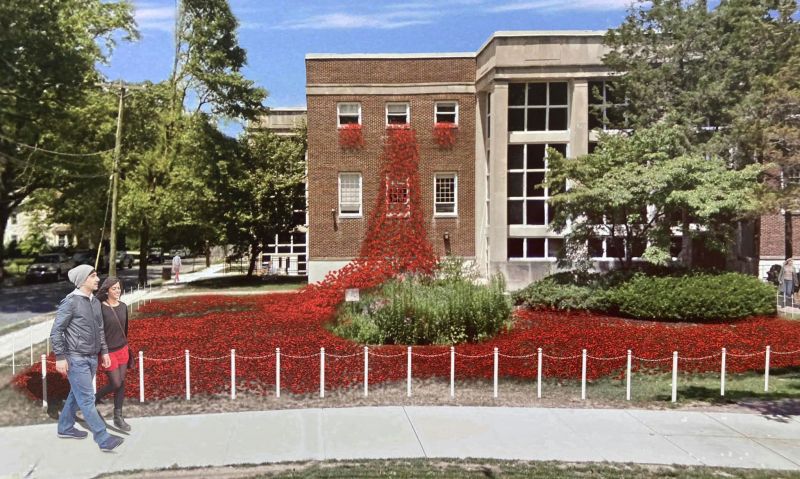 Poppies, motorcycle rides and more: How the Legion Family will help commemorate Memorial Day