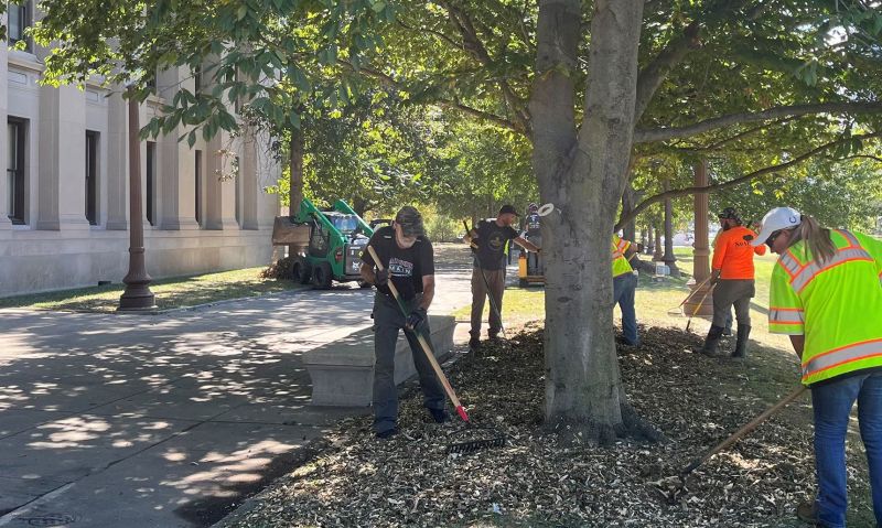 Volunteers honor veterans through tree care