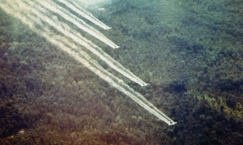 VA releases final Agent Orange regulations