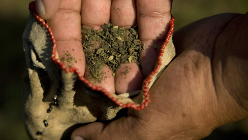 Sacred Tobacco