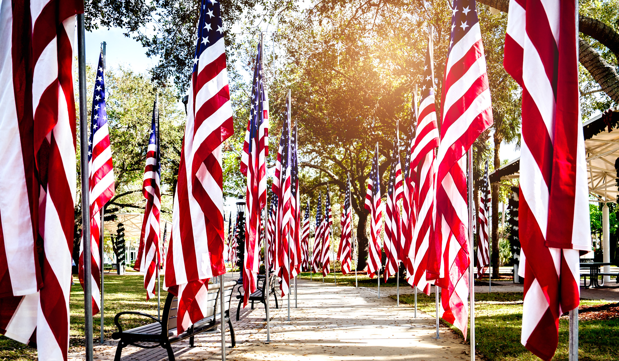 An aisle of 100 American Flags maintained and set up by American Legion Post 303  at Riverside Park in Bonita Springs , Fla, on Monday, November 11. Photo by Hilary Ott / The American Legion