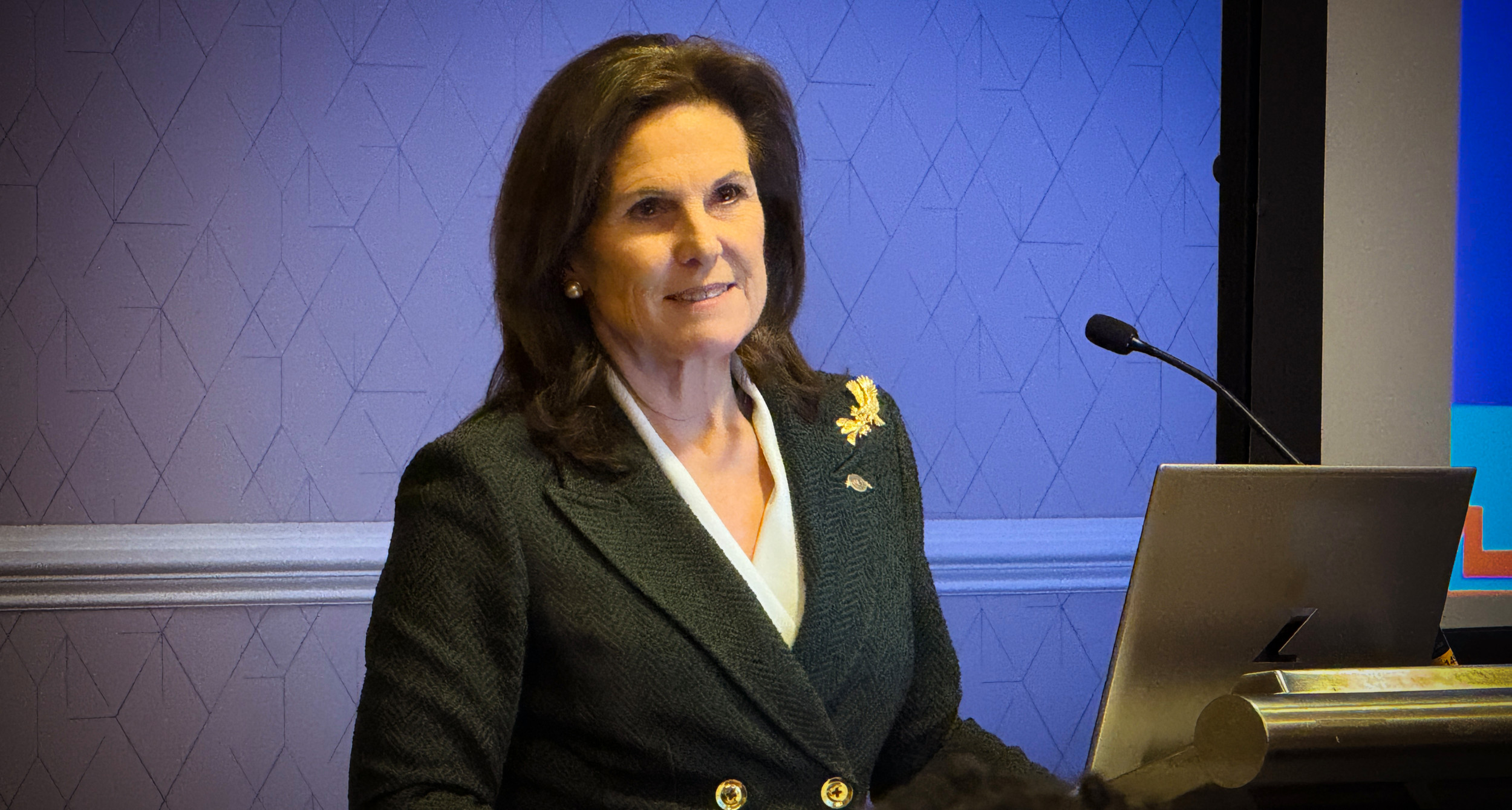 Barbara Ashe, National Director of Veteran Institute for Procurement, gives a presentation during the Small Business Conference. Photo by Holly K. Soria/The American Legion