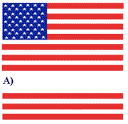 what do the folds in the flag mean