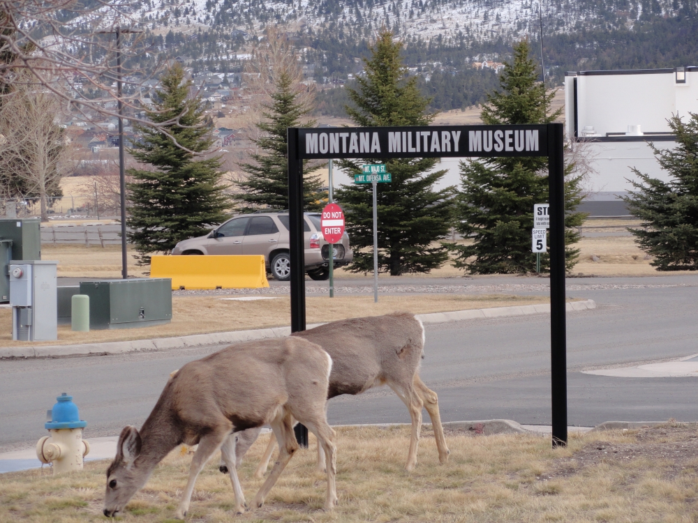 Montana Military Museum