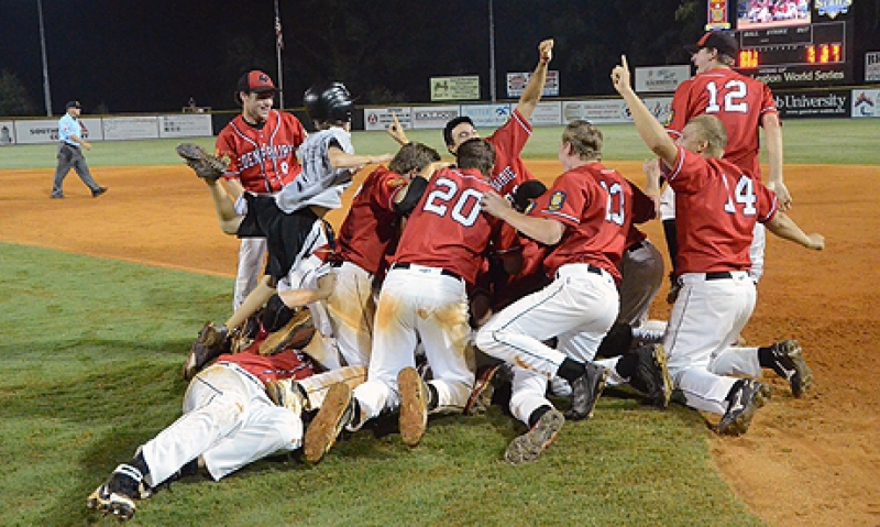 Minnesota wins 2011 Legion World Series